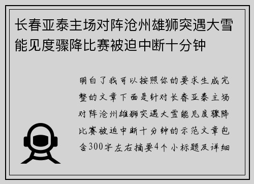 长春亚泰主场对阵沧州雄狮突遇大雪能见度骤降比赛被迫中断十分钟